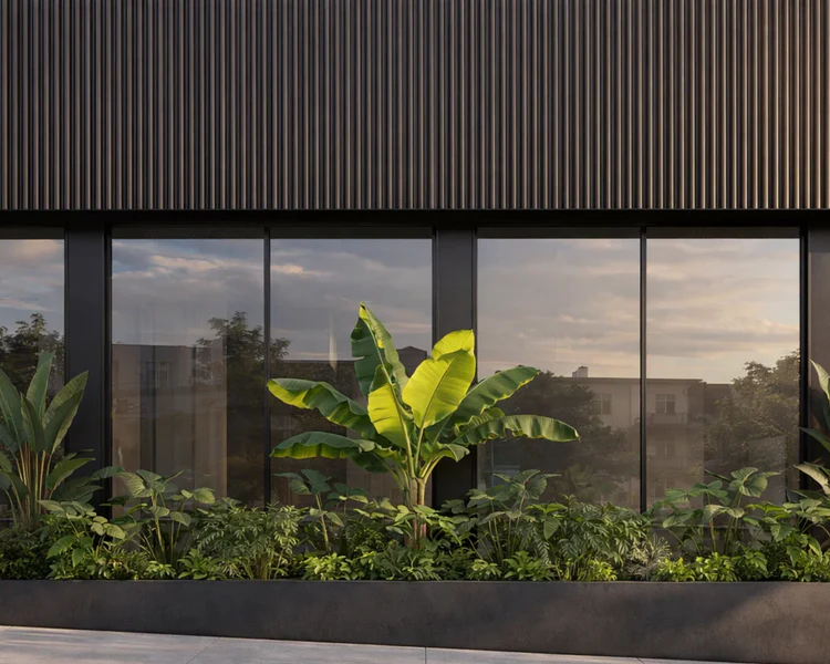Traga a Natureza para Casa