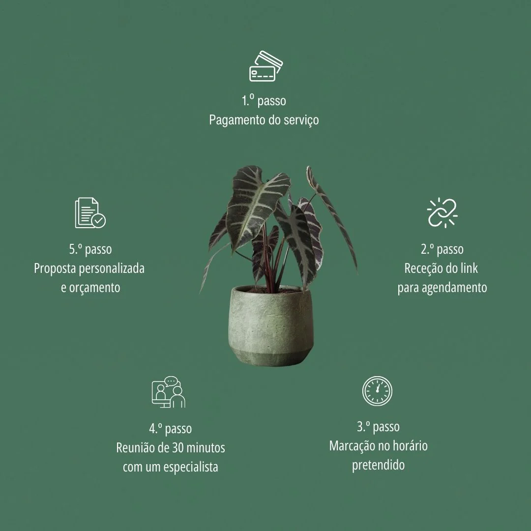 Imagem do produto 6