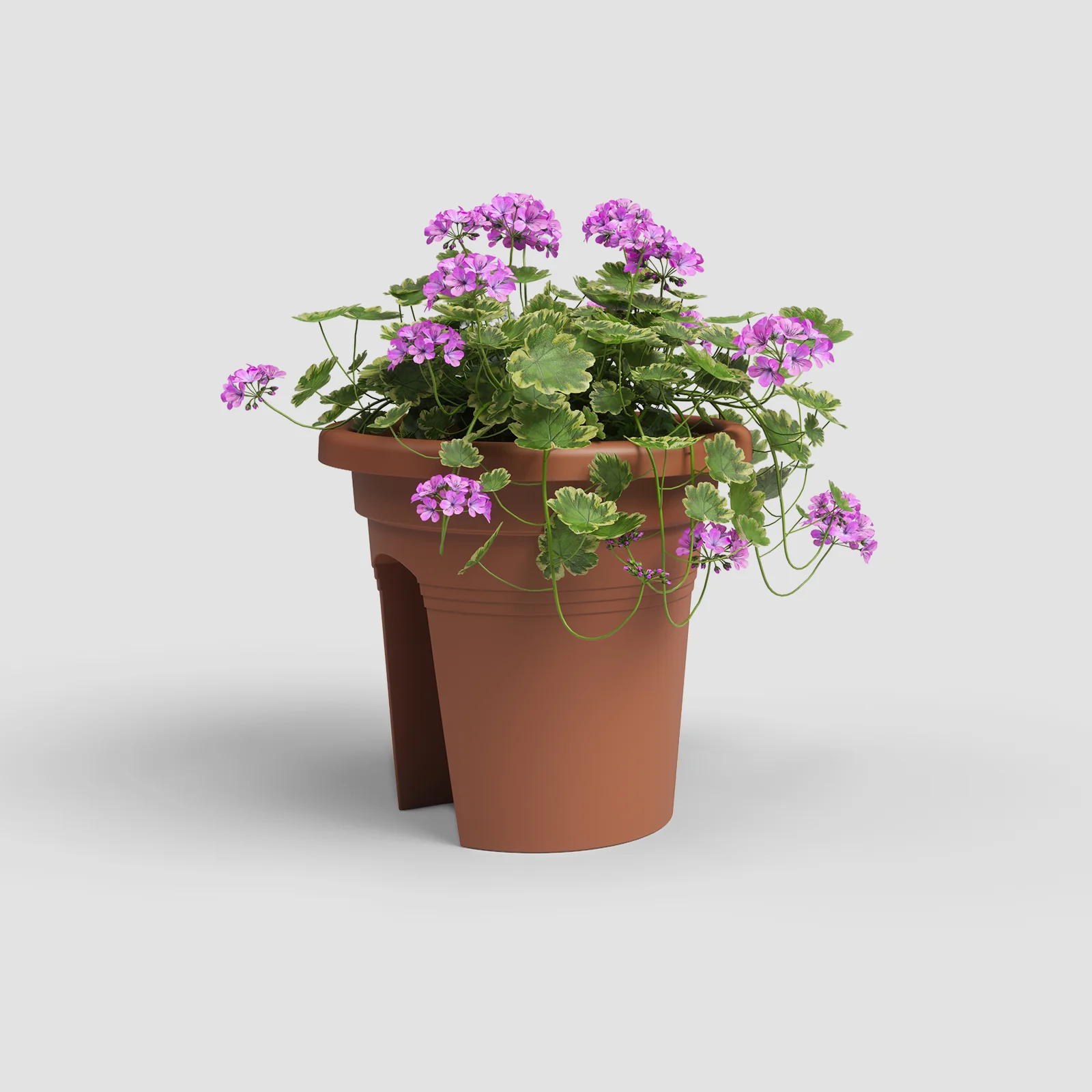 Imagem do produto 5